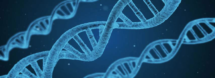 Representación de la cadena de ADN de color azul sobre un fondo azul oscuro.