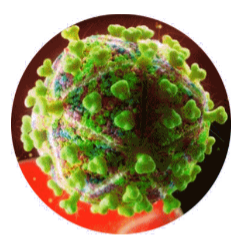 imagen del virus de la zoonosis SIDA