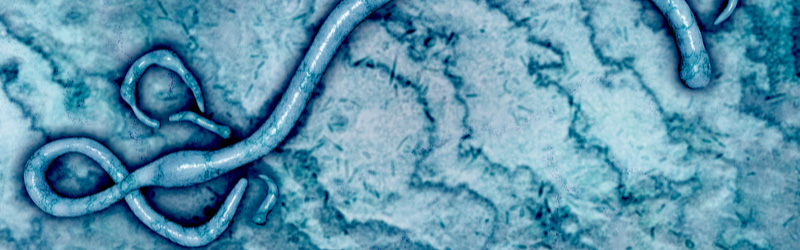 virus ébola