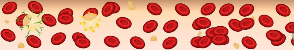 plasma con glóbulos rojos