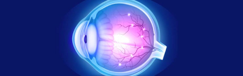 La visión: ojo en 3 dimensiones