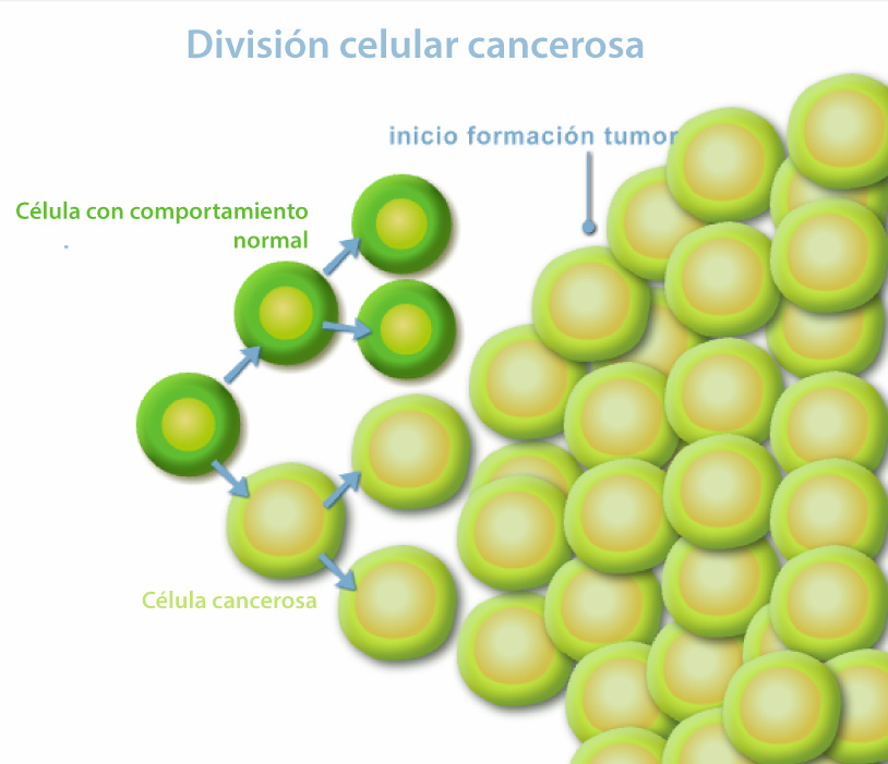 División celular cancerosa