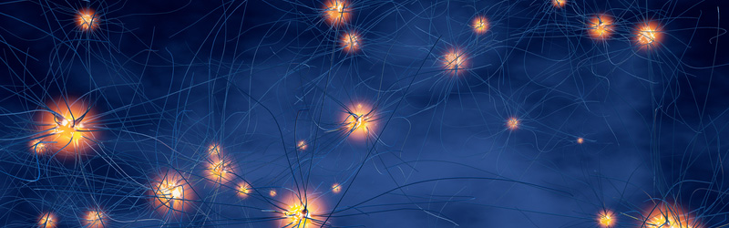 Imagen con neuronas