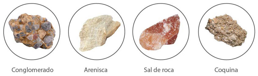 ROCAS SEDIMENTARIAS