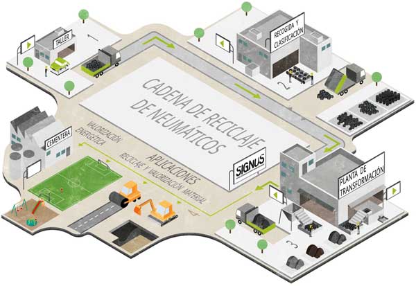 signus imagen grafico