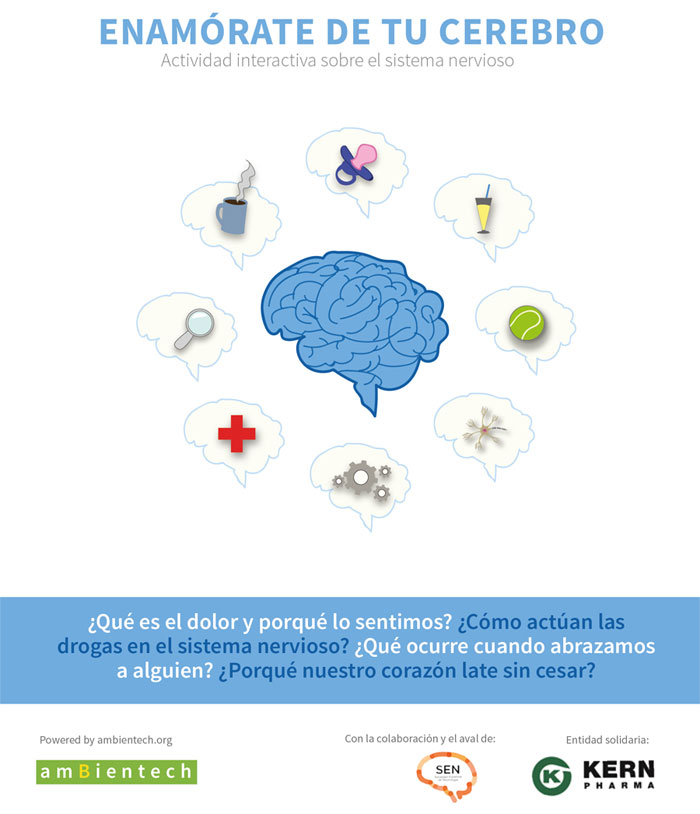 material educativo sobre el sistema nervioso