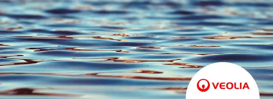 buenas prácticas veolia soluciones basadas en la naturaleza para prevenir inundaciones en ciudades