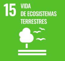 ODS 15
