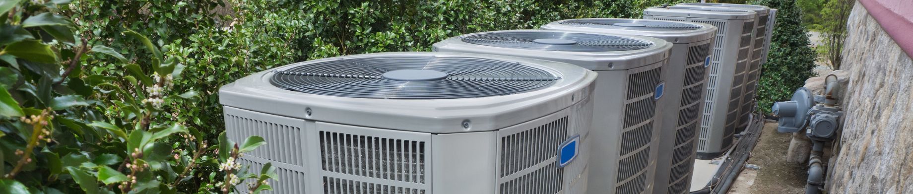 imagen destacada ecomplices ecoticclima