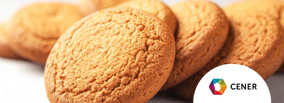 imagen indice ecomplices cener