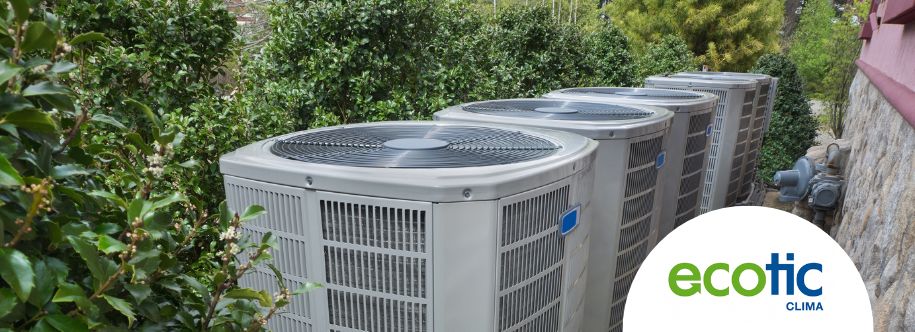 imagen indice ecomplices ecotic