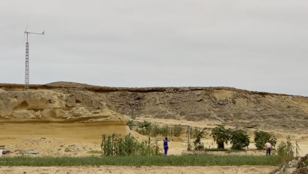 sueño nilson ecomplices bornay