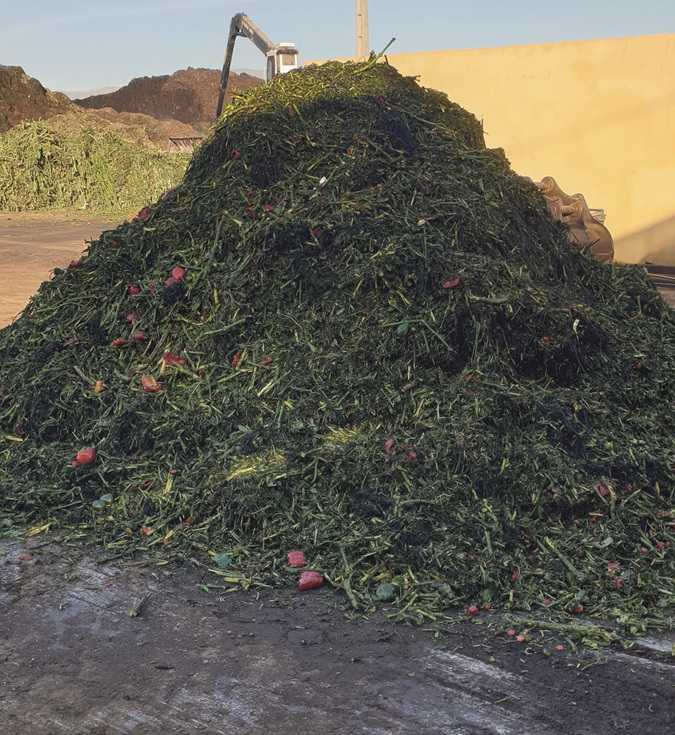 Compostaje residuos agrícolas con clips y rafias