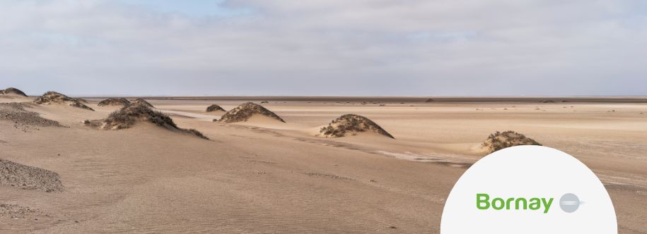 viento que se transforma en alimento