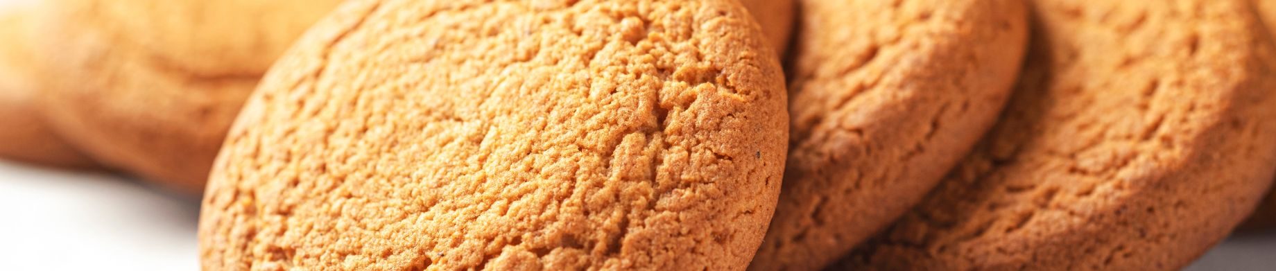 imagen destacada cener ecomplices